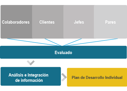 estructura de la evaluacion 306 para identificar el desempeño del personal