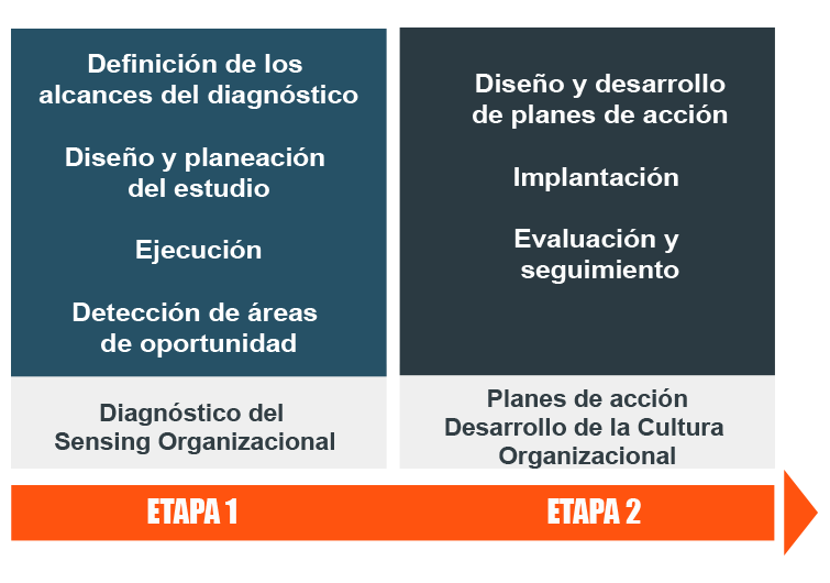 Plan de accion para el desarrollo de la coultura organizacional