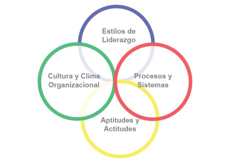 4 rubros de la estrategia del capital humano